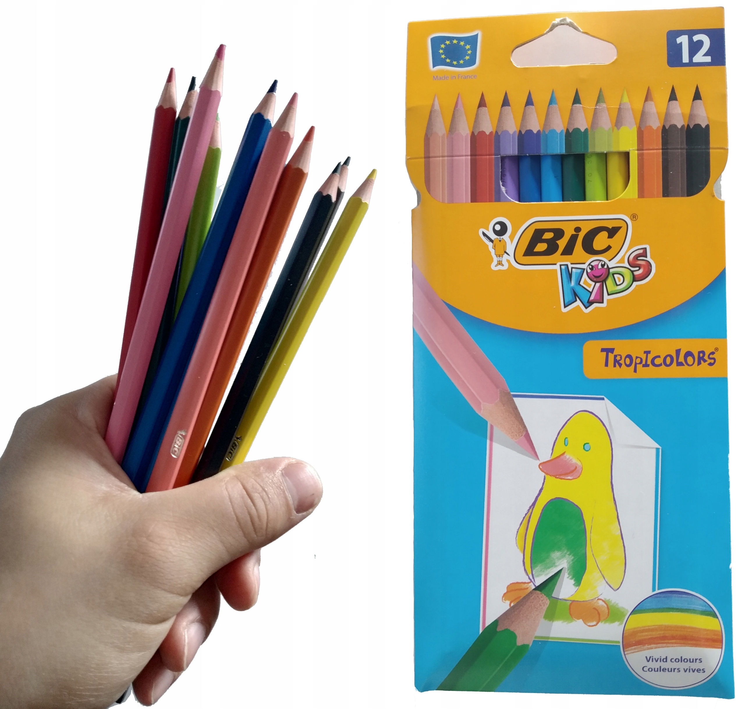 KREDKI BIC 12KOL. TROPICOLORS 2503