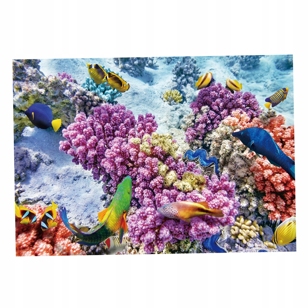 Praktyczny plakat w tle Fish Tank