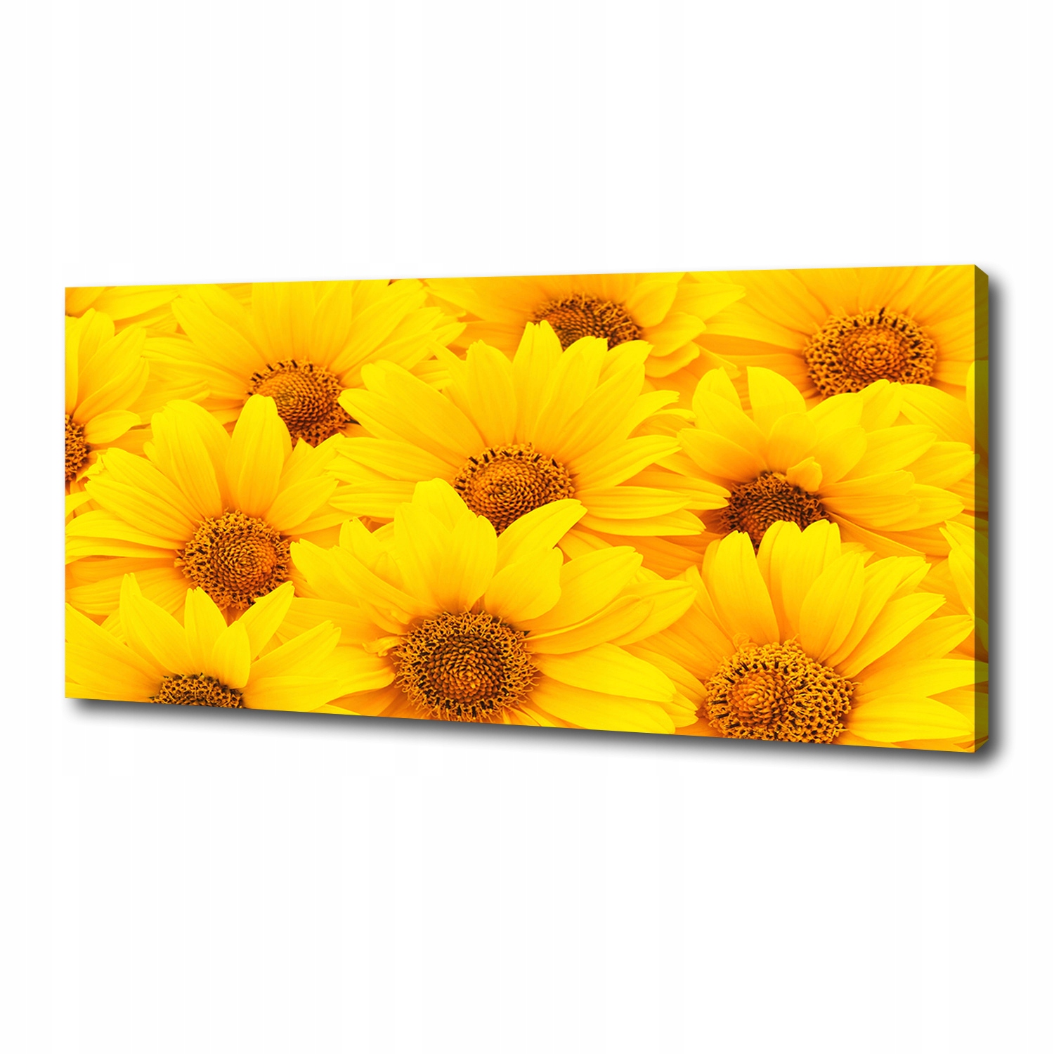 

Foto obraz canvas na ścianę Słoneczniki 125x50 cm