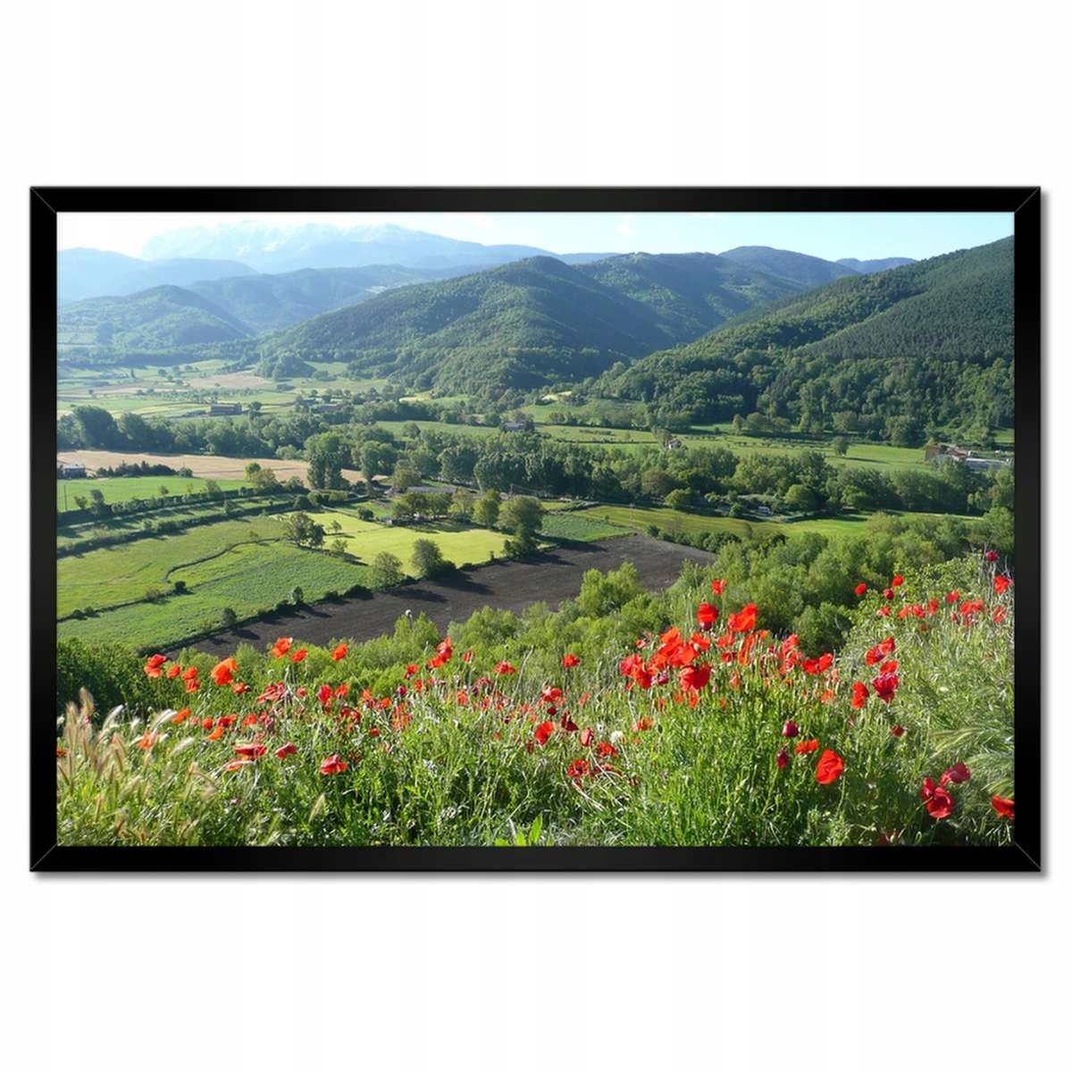 Plakáty v rámu 60x40 Květinový výhled v horách