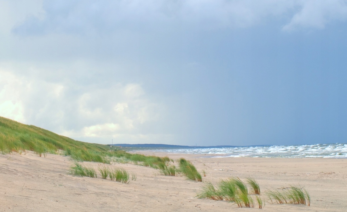 

Fototapeta Flizelinowa Wybrzeże Bałtyku 416x254