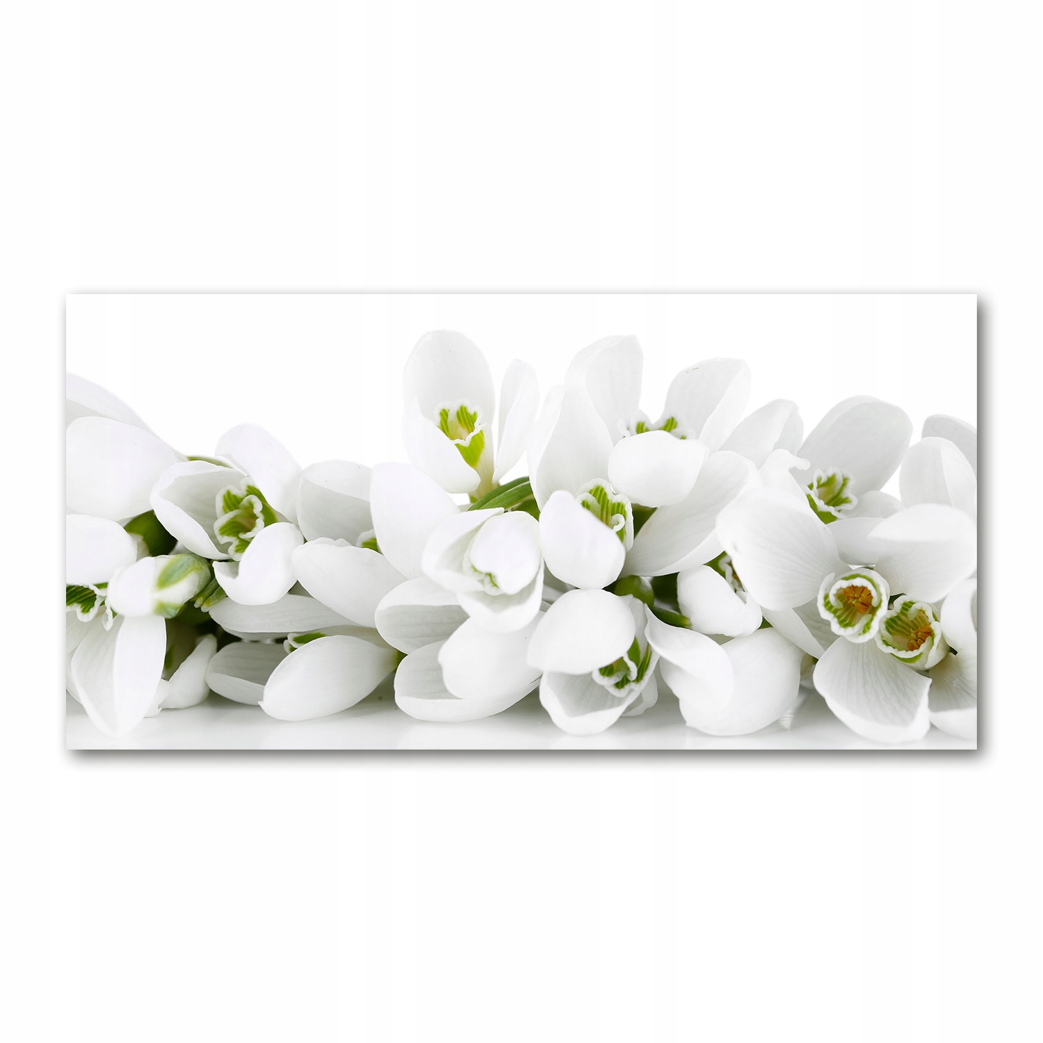 

Foto-obraz akrylowy Przebiśniegi zdjęcie 140x70 cm