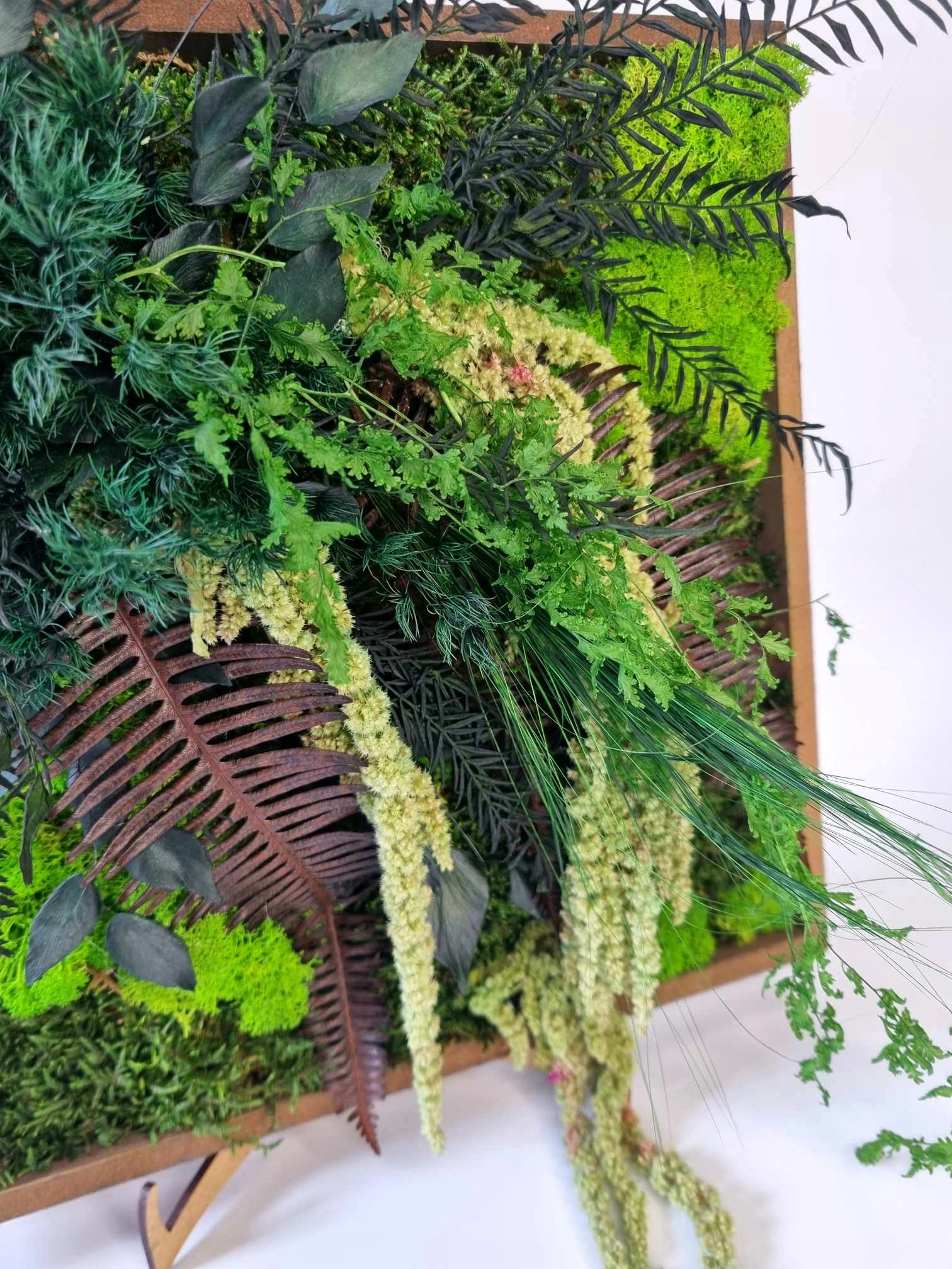 OBRAZ Z MCHEM I ROŚLINAMI STABILIZOWANYMI Marka inna