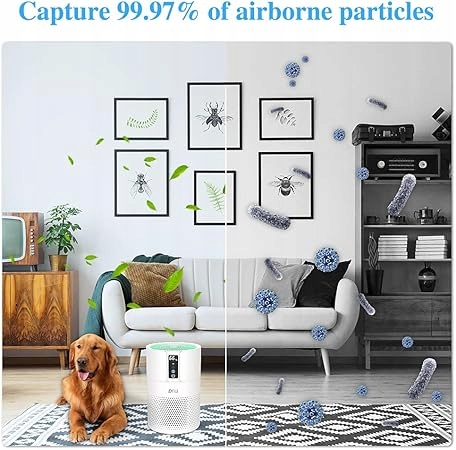 OCZYSZCZACZ POWIETRZA Z FILTREM Z WĘGLEM AKTYWNYM I JONIZATOREM Stan opakowania oryginalne