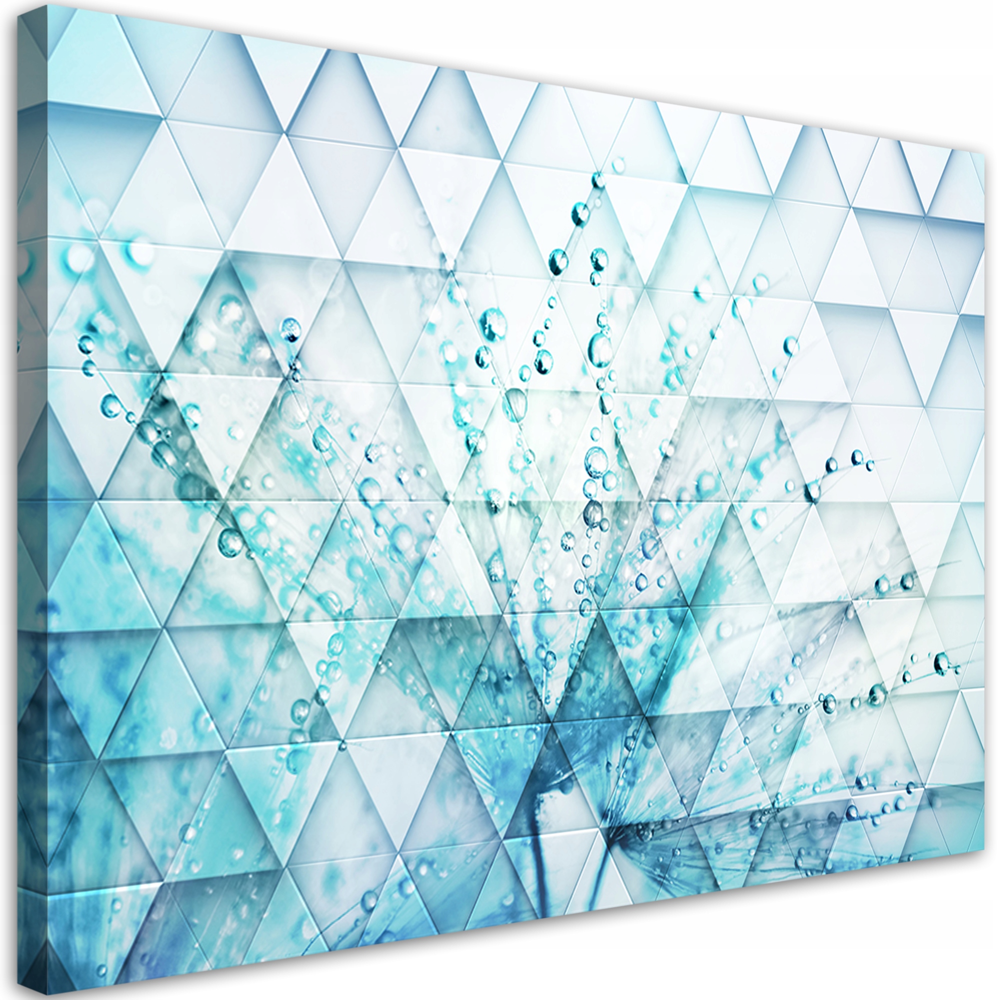 Obraz, Tyrkysový púpava v kvapkách rosy 120x80