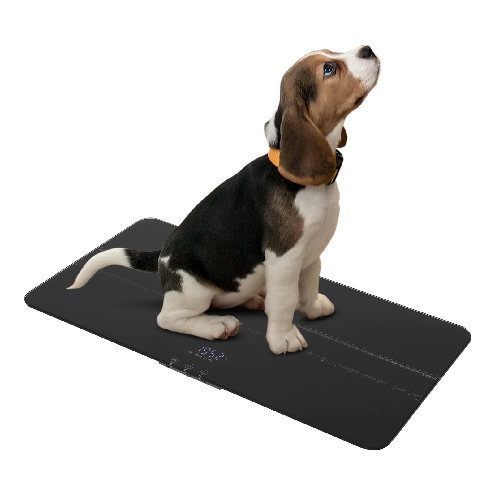 Digitální Váha Pro Zvířata, 69 X 33 CM, 100 Kg, 10 G, Tvrzené Sklo, Usb, Led