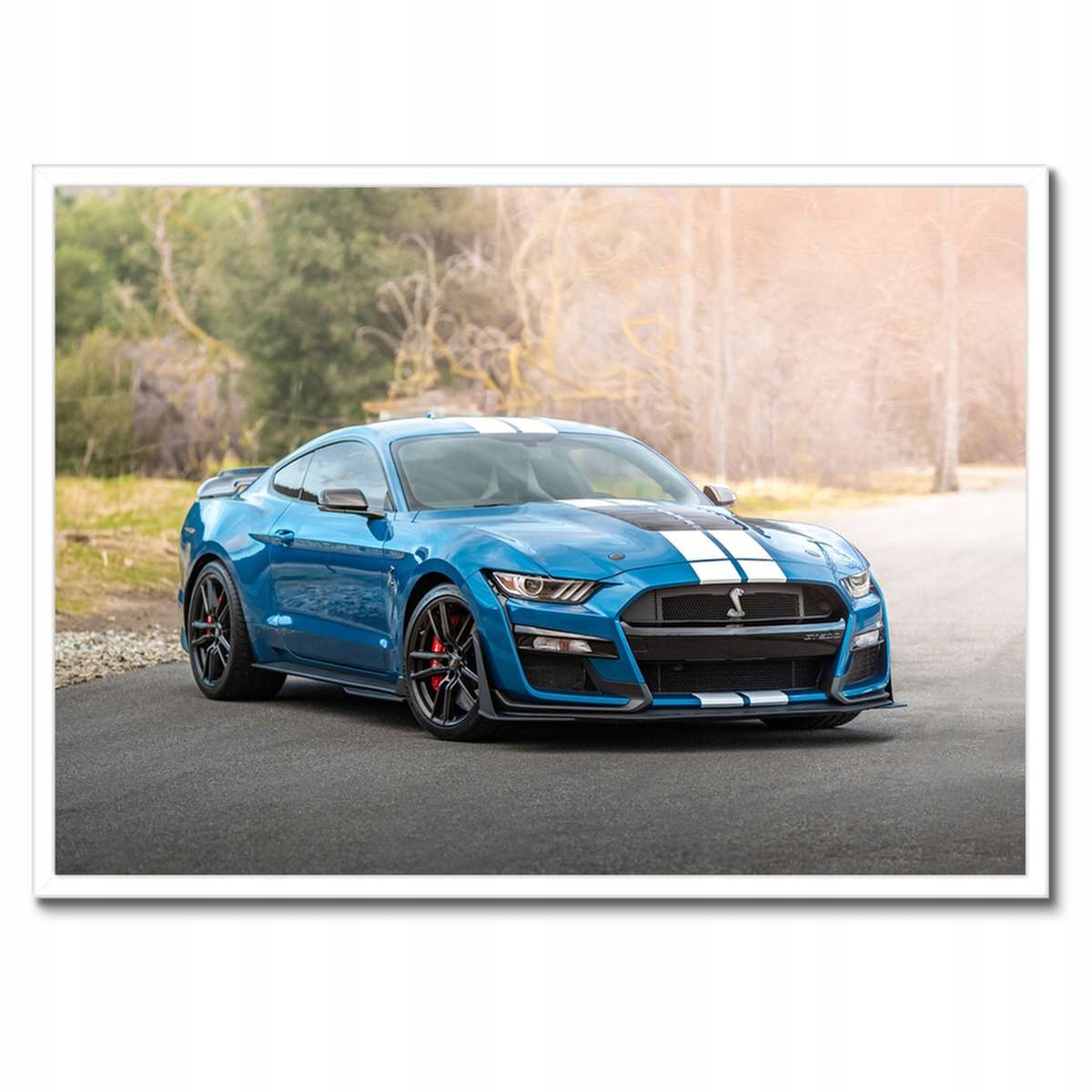 Plakáty v rámu 70x50 Modrý Ford Mustang