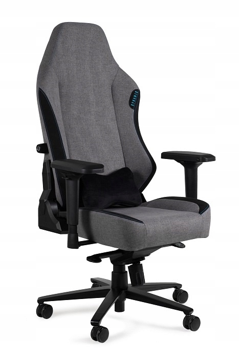 Fotel do gier Dynamiq V19 szaro/czarny gaming dom