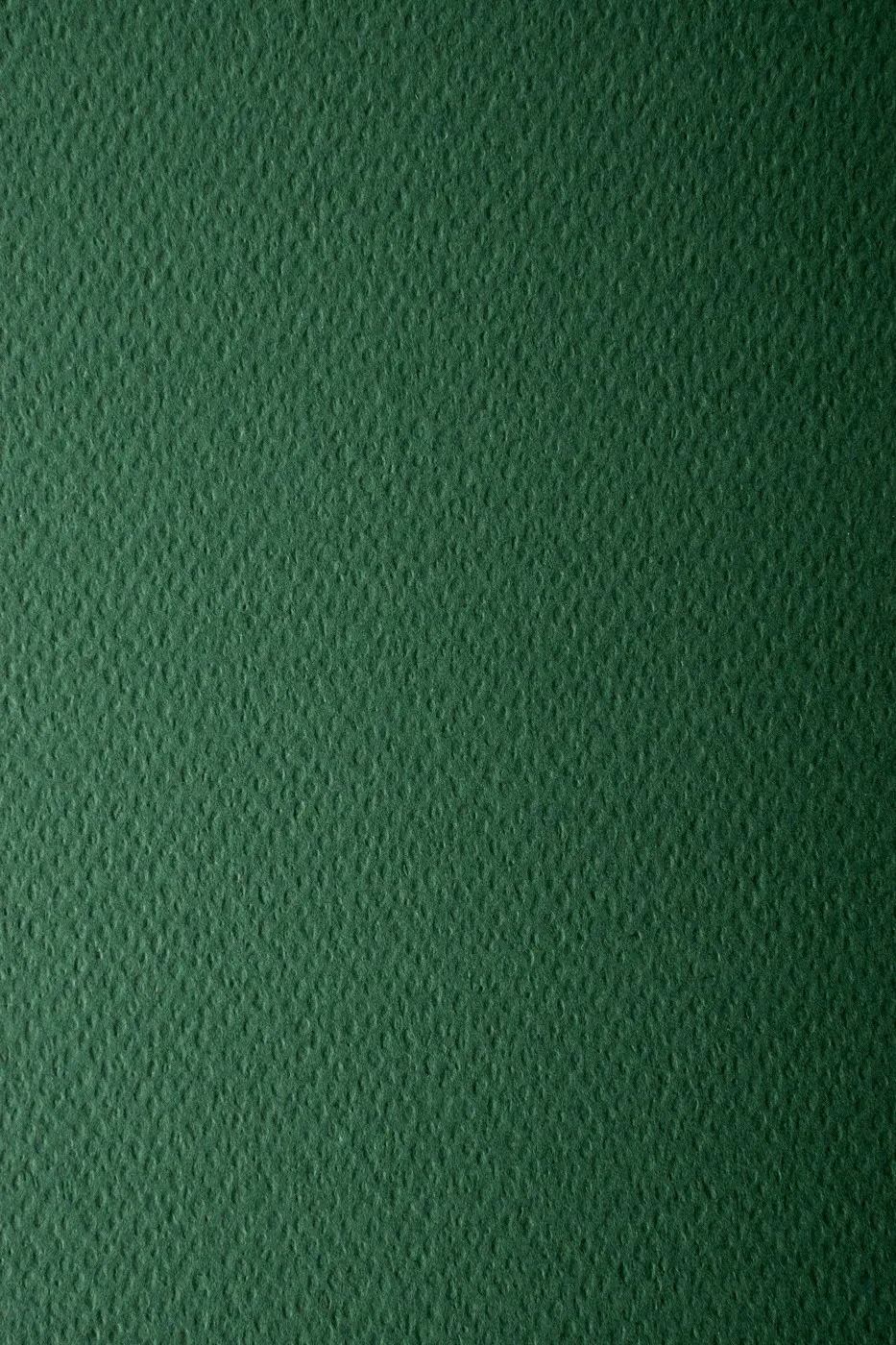 

Papier Prisma 220g Pino c. zielony 10A4