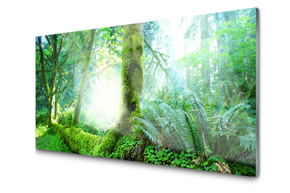 

Panel szklany dekoracyjny Dekor Las 100x50