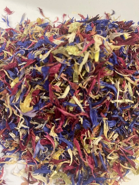 Chrpa Modrá Mix 3 barev Rafex 1 Kg