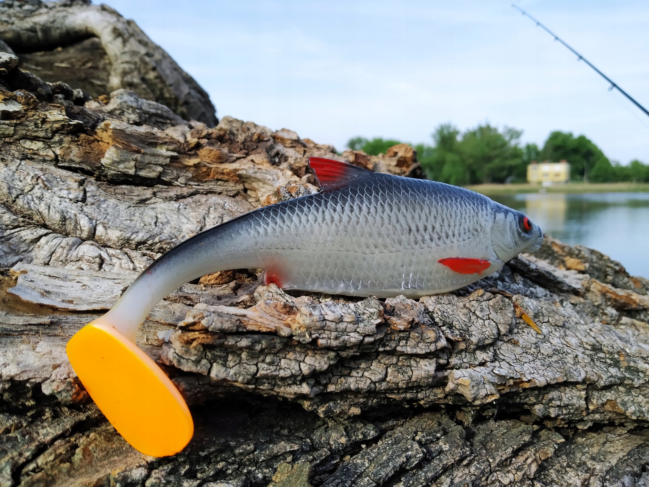 SEWRO CUSTOM PŁOĆ 18cm kopyto