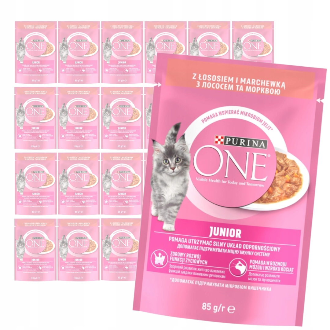Purina One Junior 24x85g Mokra Karma Dla Kociąt Z Łososiem I Marchewką