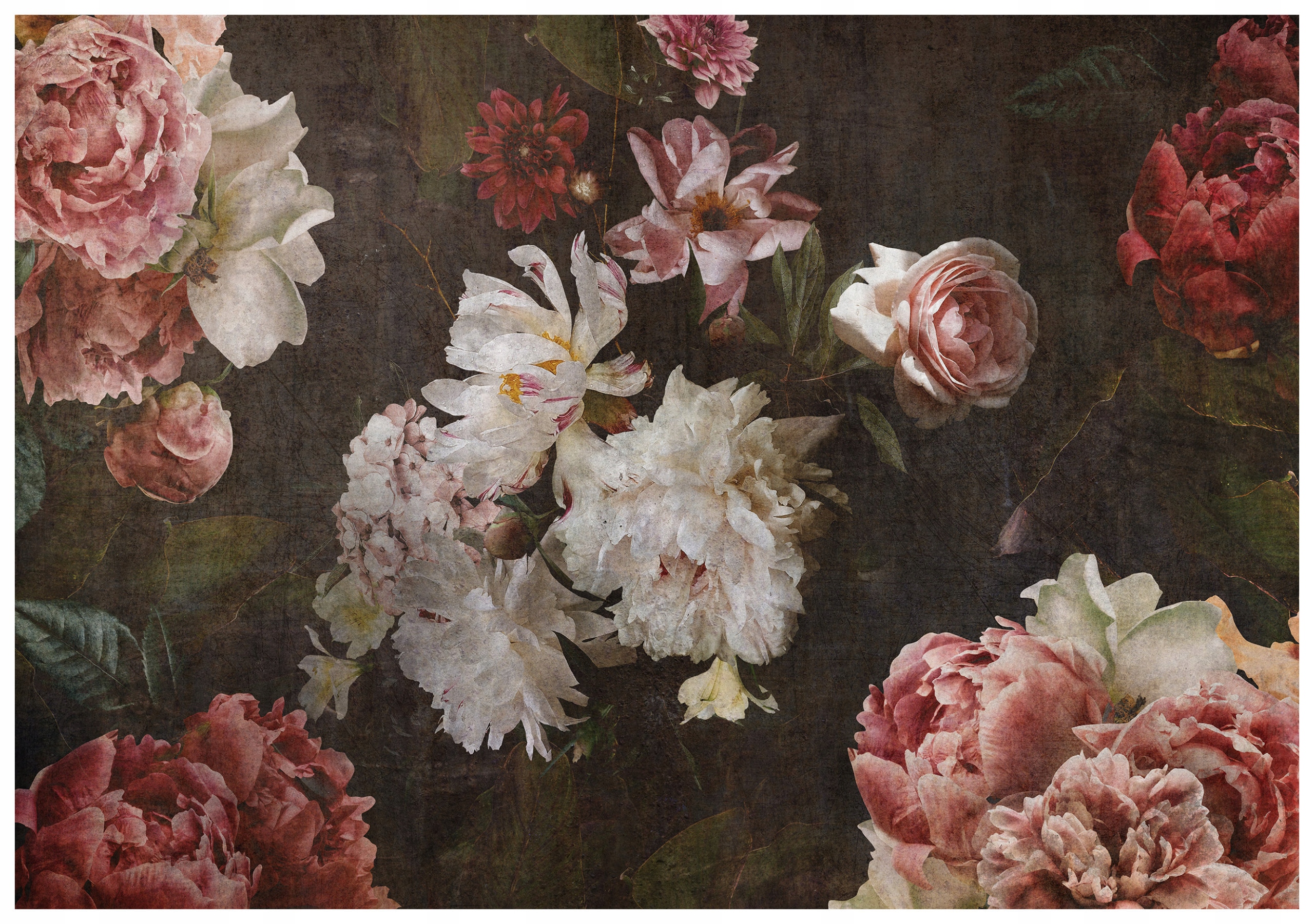 Vliesová fototapeta Pivoňky na tmavém pozadí, elegance 254x184 lepidlo