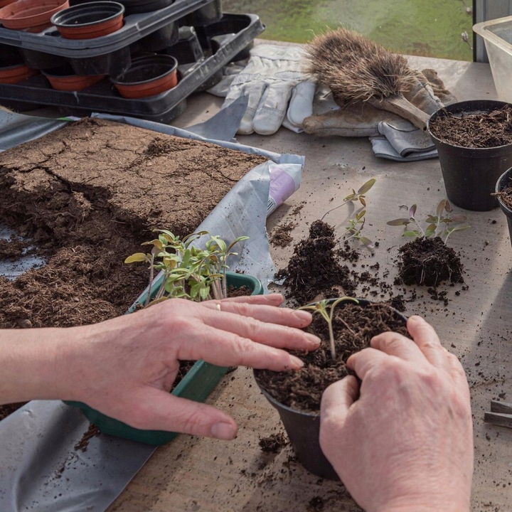 PODŁOŻE DLA ROŚLIN ZIEMIA KOKOSOWA Torf Z Włóknem Kokosowym 10L Pojemność 10 l