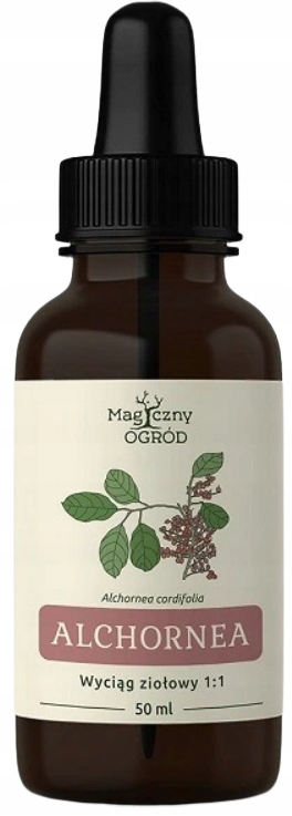 

Alchornea cordifolia nalewka 50ml Magiczny Ogród