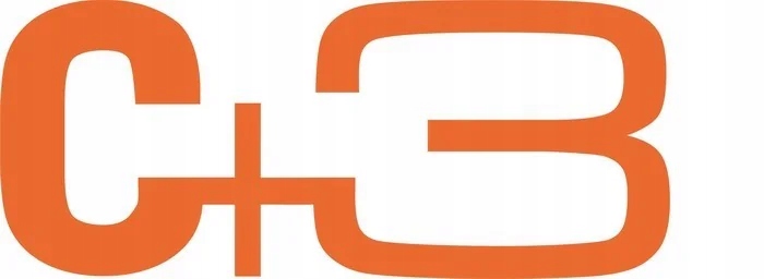 Eleganckie Męskie Slipy C+3 - 4 Kolory w Zestawie Premium L Marka C+3