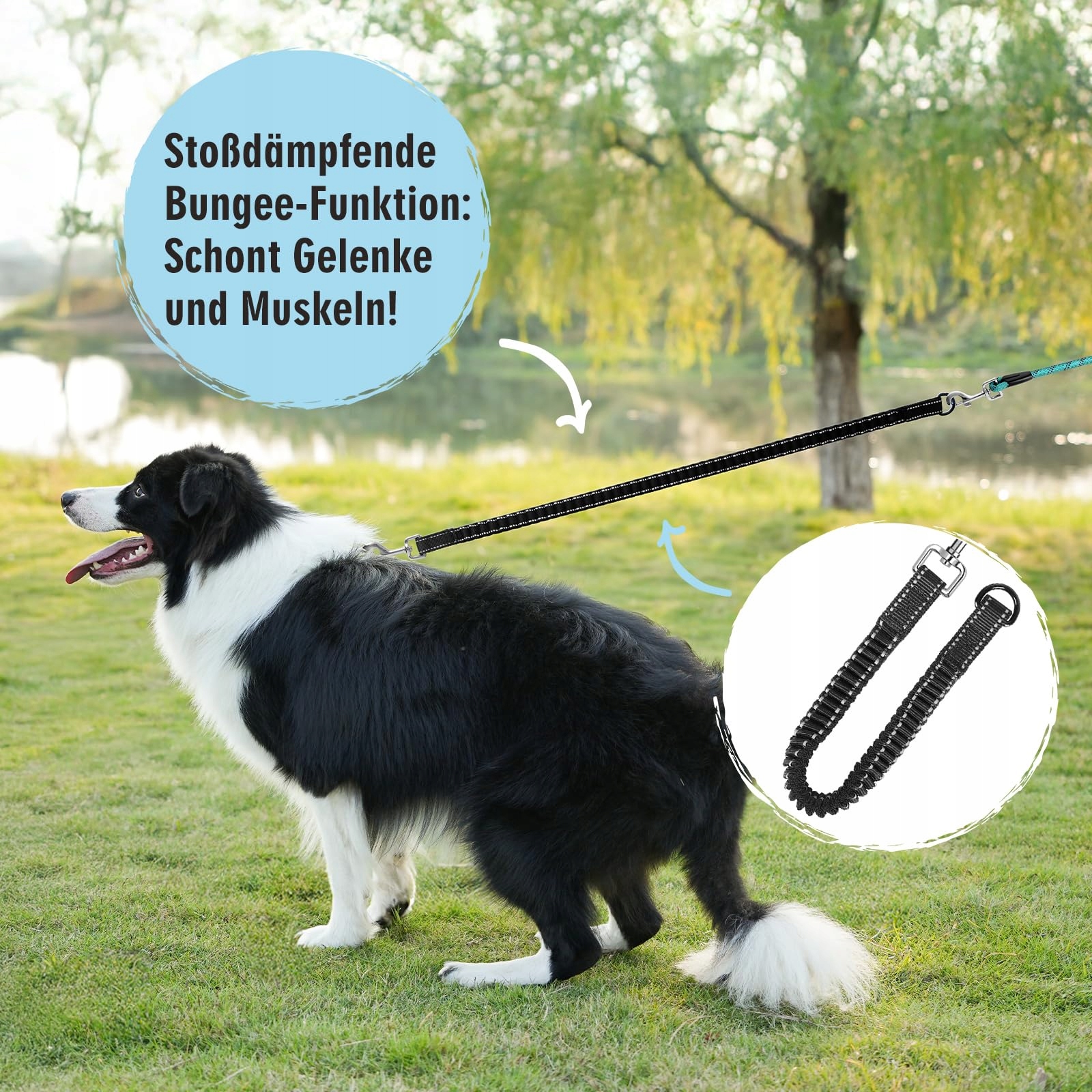 Smycz Bungee 20M z Uchwytami dla Średnich i Dużych Psów — miniatura 2