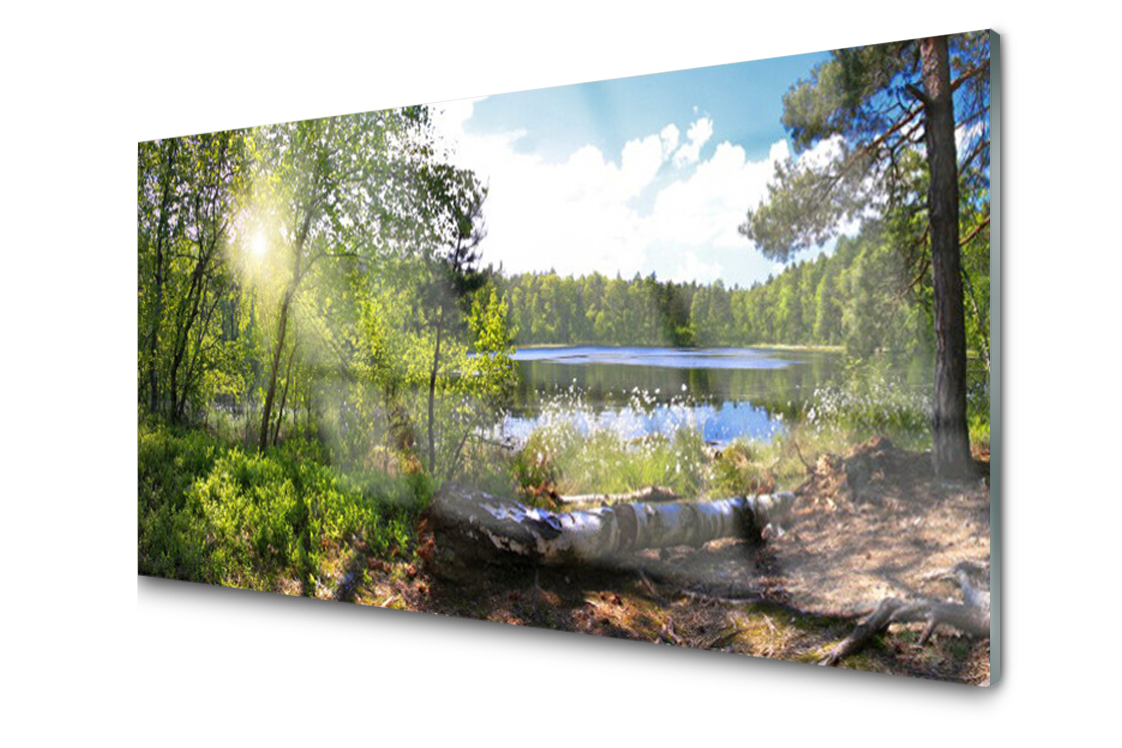 Sklenený panel Doska Les Stromy Jazero 100x50