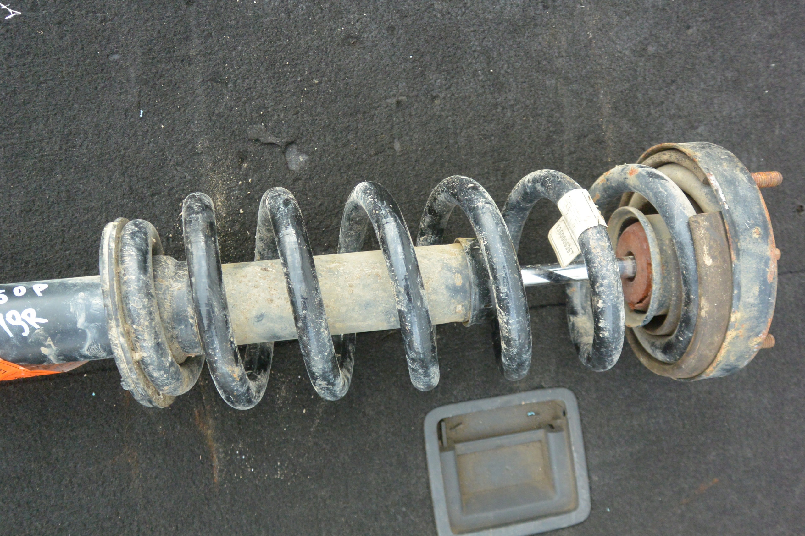 FORD F150 15-20 shock absorber spring front