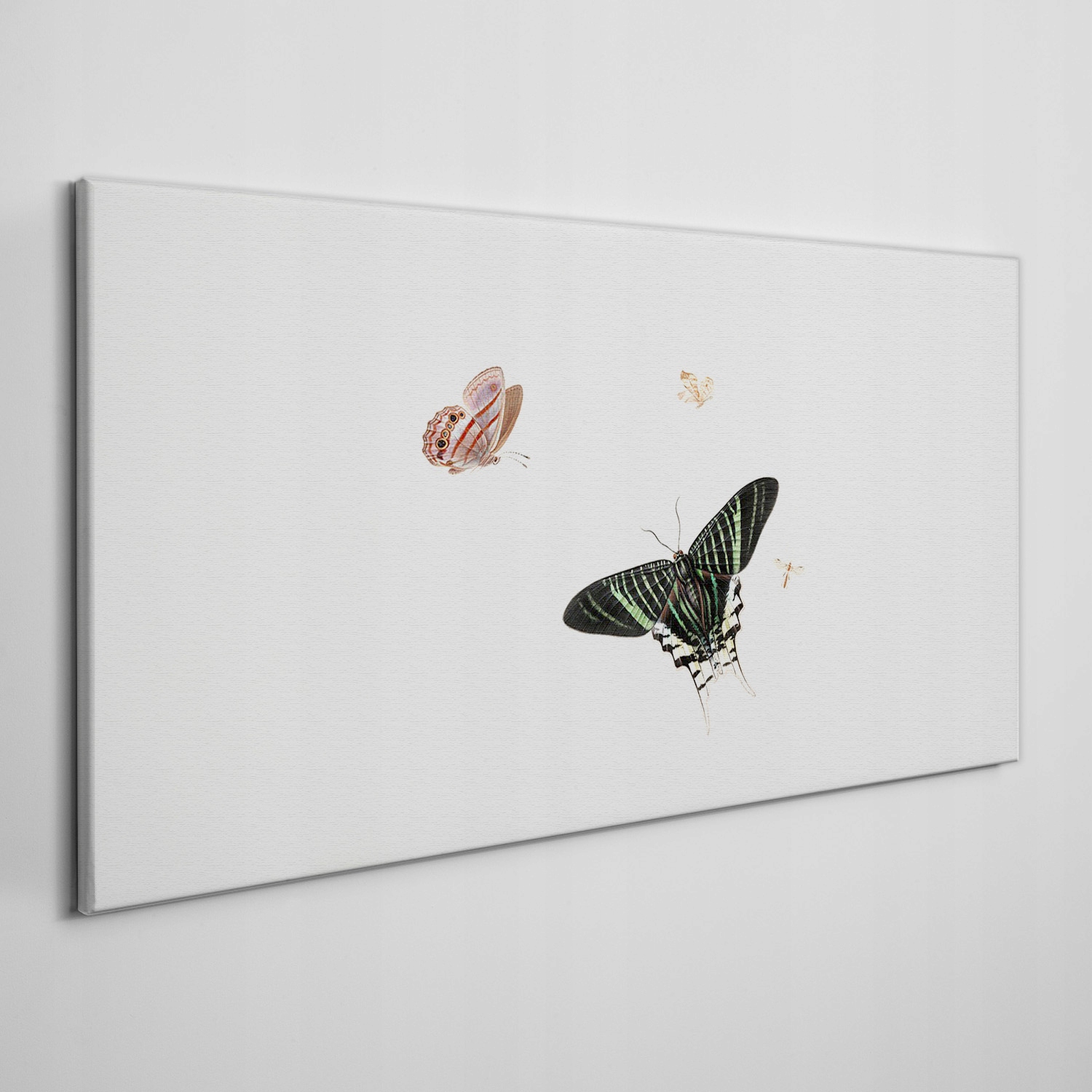 

Nowoczesny obraz na płótnie Owad motyl 100x50 cm
