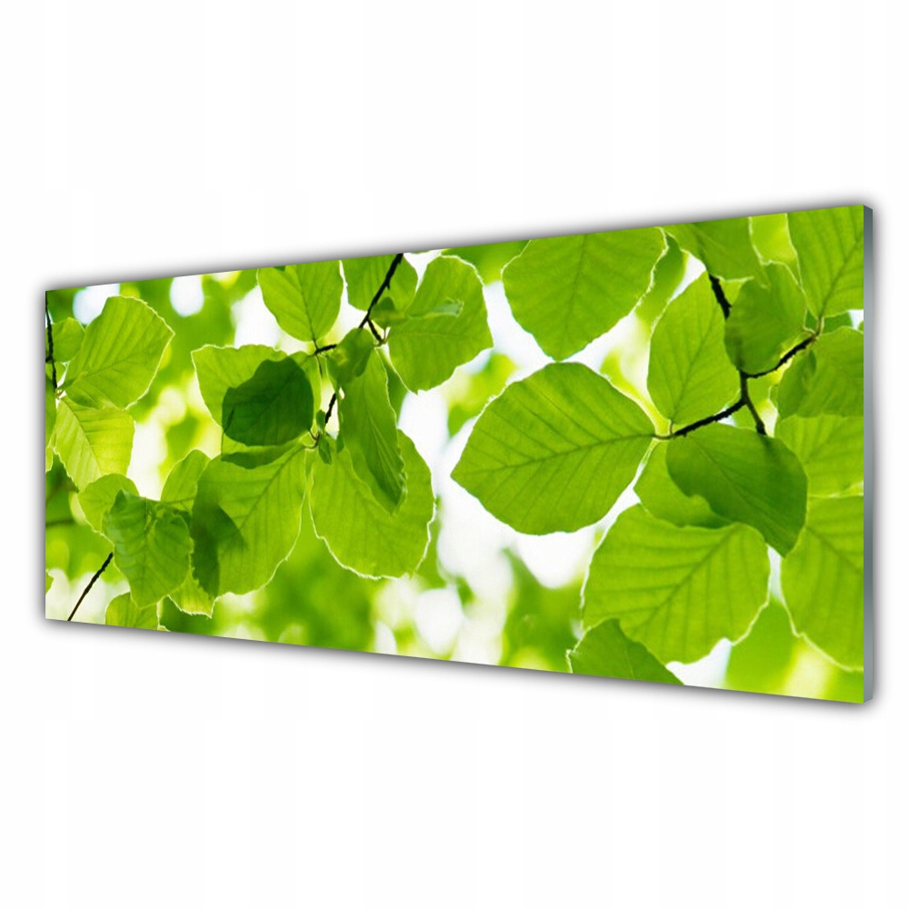 

Fotoobraz na prezent 125x50 Liście Natura Roślina
