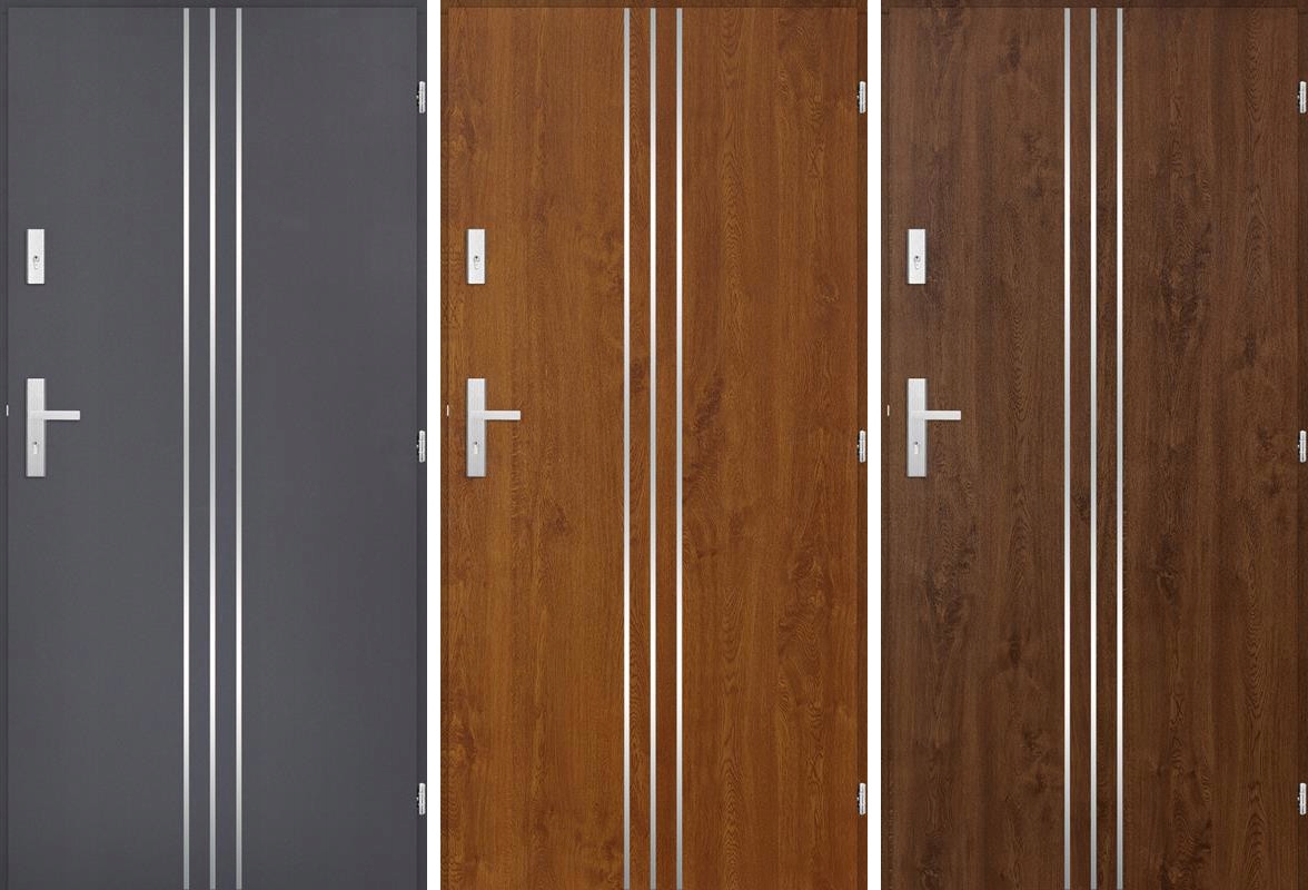 POLSKIE DRZWI ZEWNĘTRZNE INOX SLED1L 55MM 100CM Marka Taur