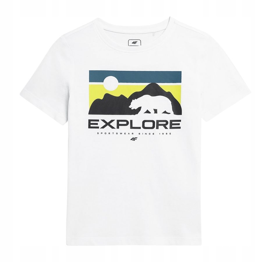 KOSZULKA CHŁOPIĘCA 4F DZIECIĘCA KOSZULKA T-SHIRT Płeć chłopcy