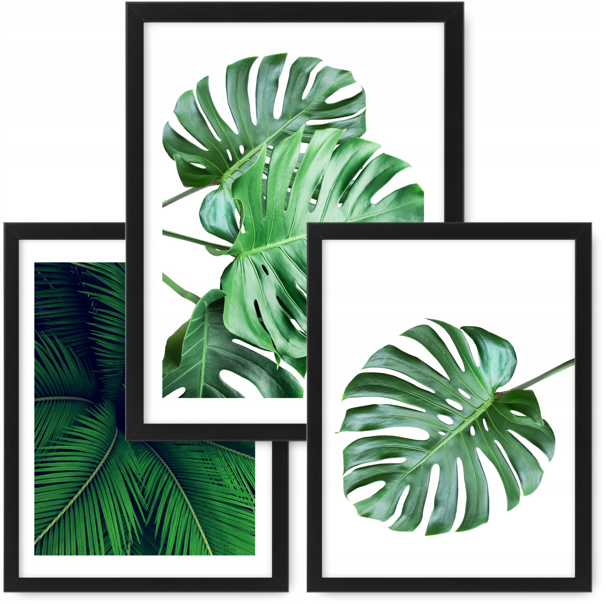 Sada 3 obrazů 33x43 plakáty, Monstera rám ikea #57