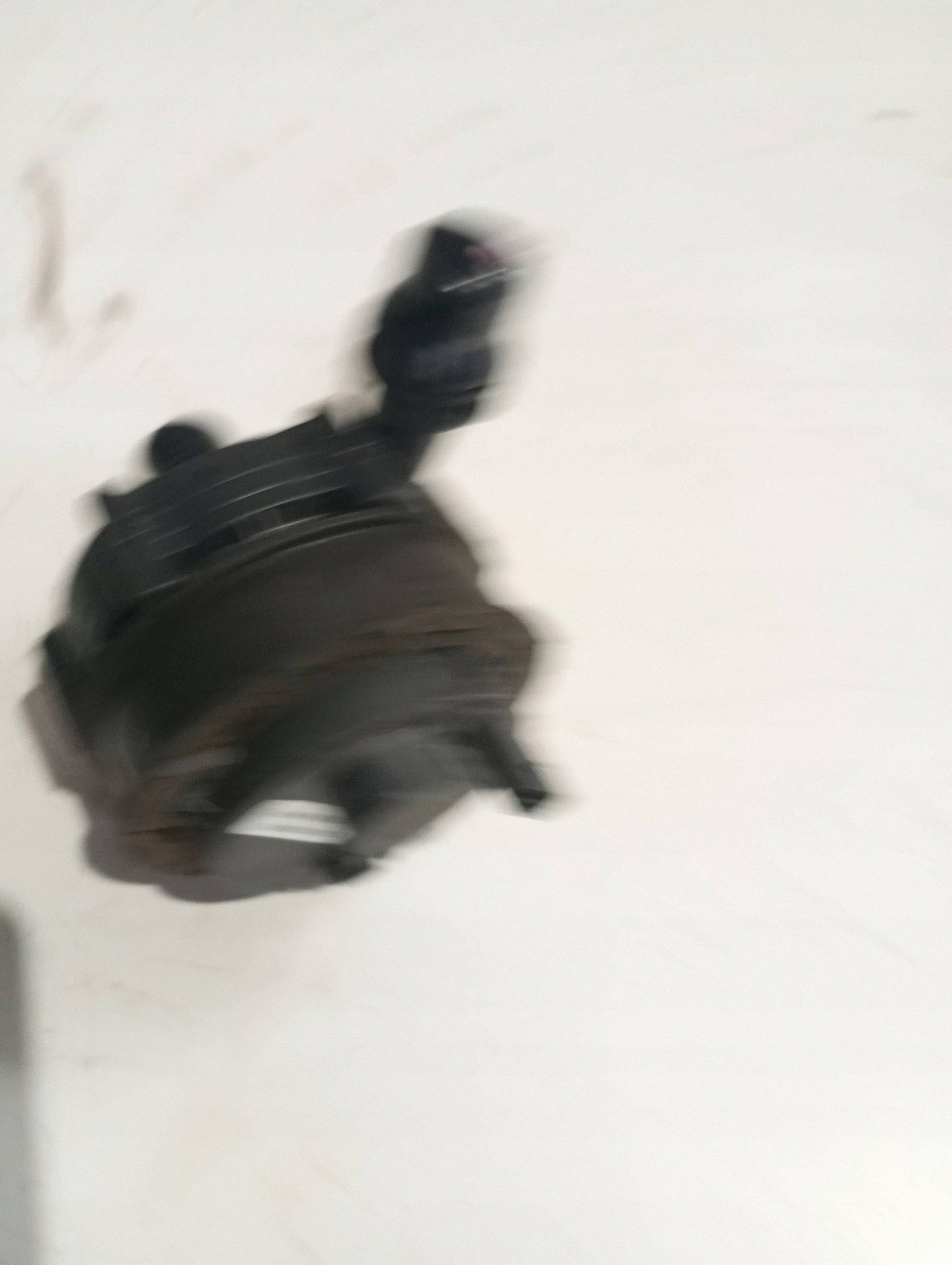water pump MERCEDES A0005003101
