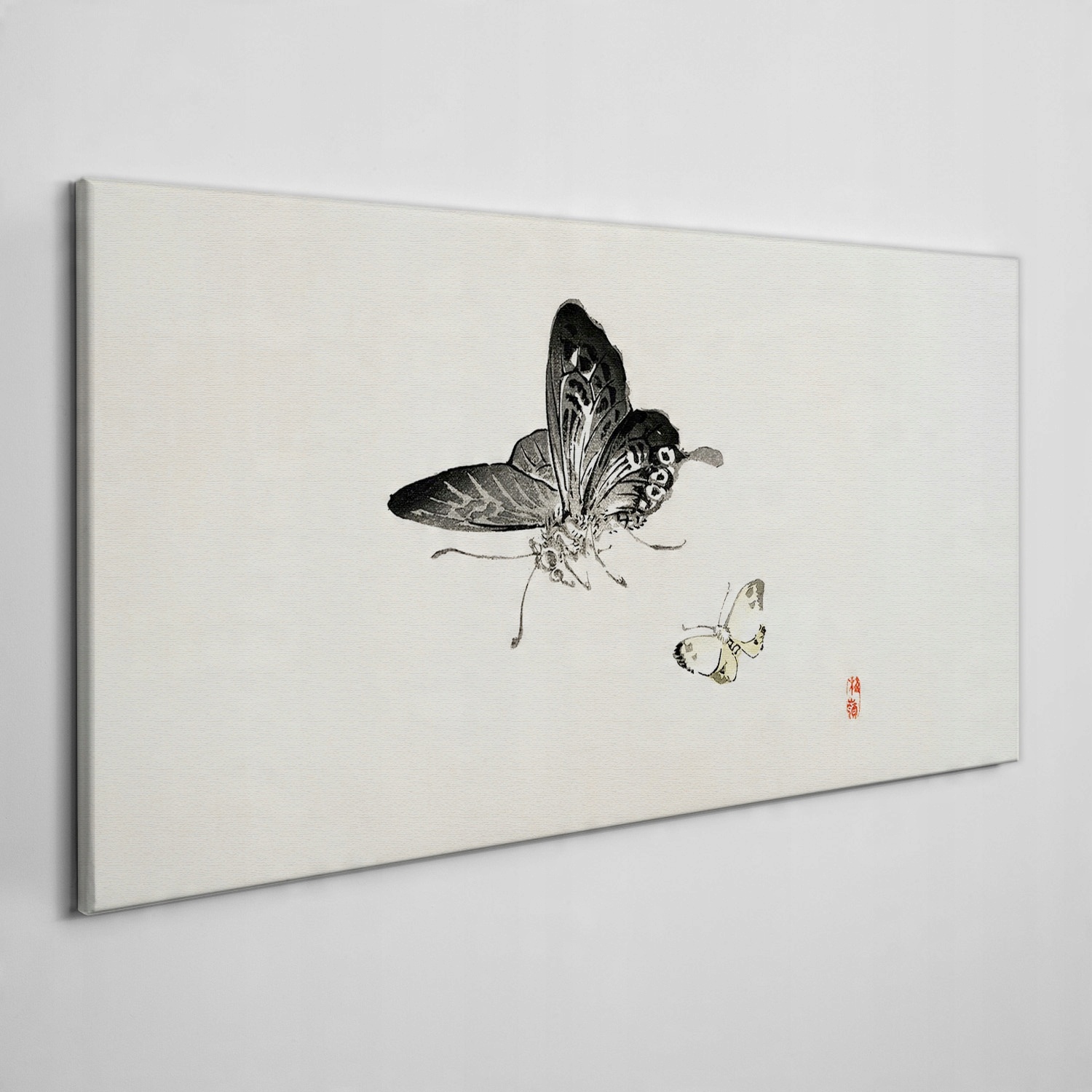 

Obraz na płótnie na ramie Owady motyl 120x60 cm