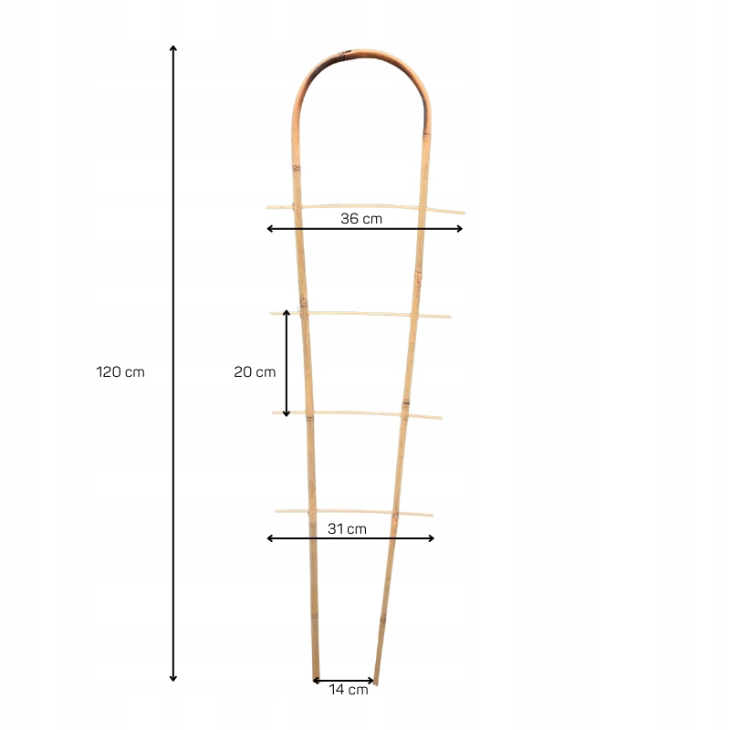 Drabinka bambusowa podpora do roślin łuk 120 cm Rodzaj tyczka