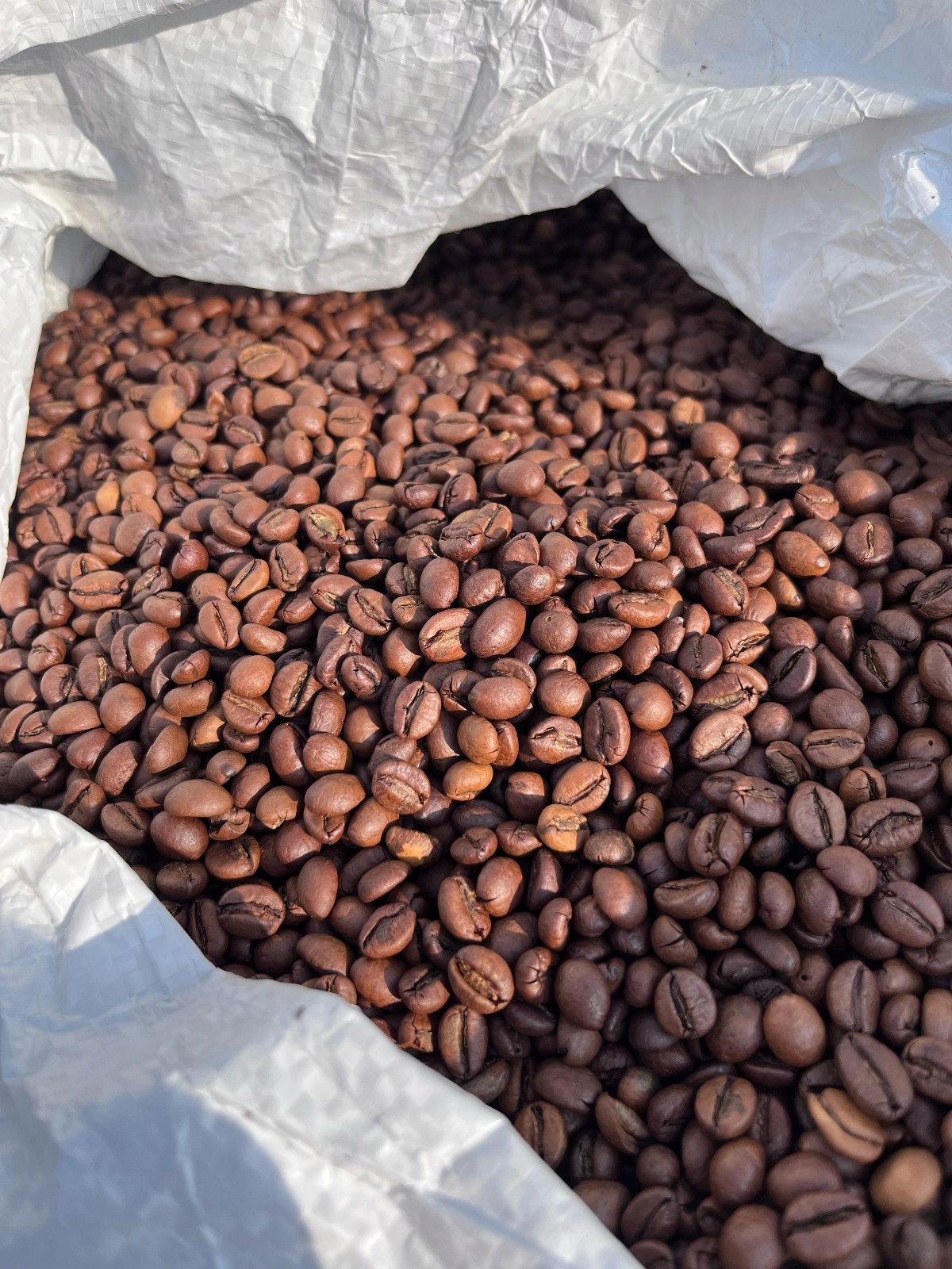 Levně Káva Zrnková Big Bag 500 Kg