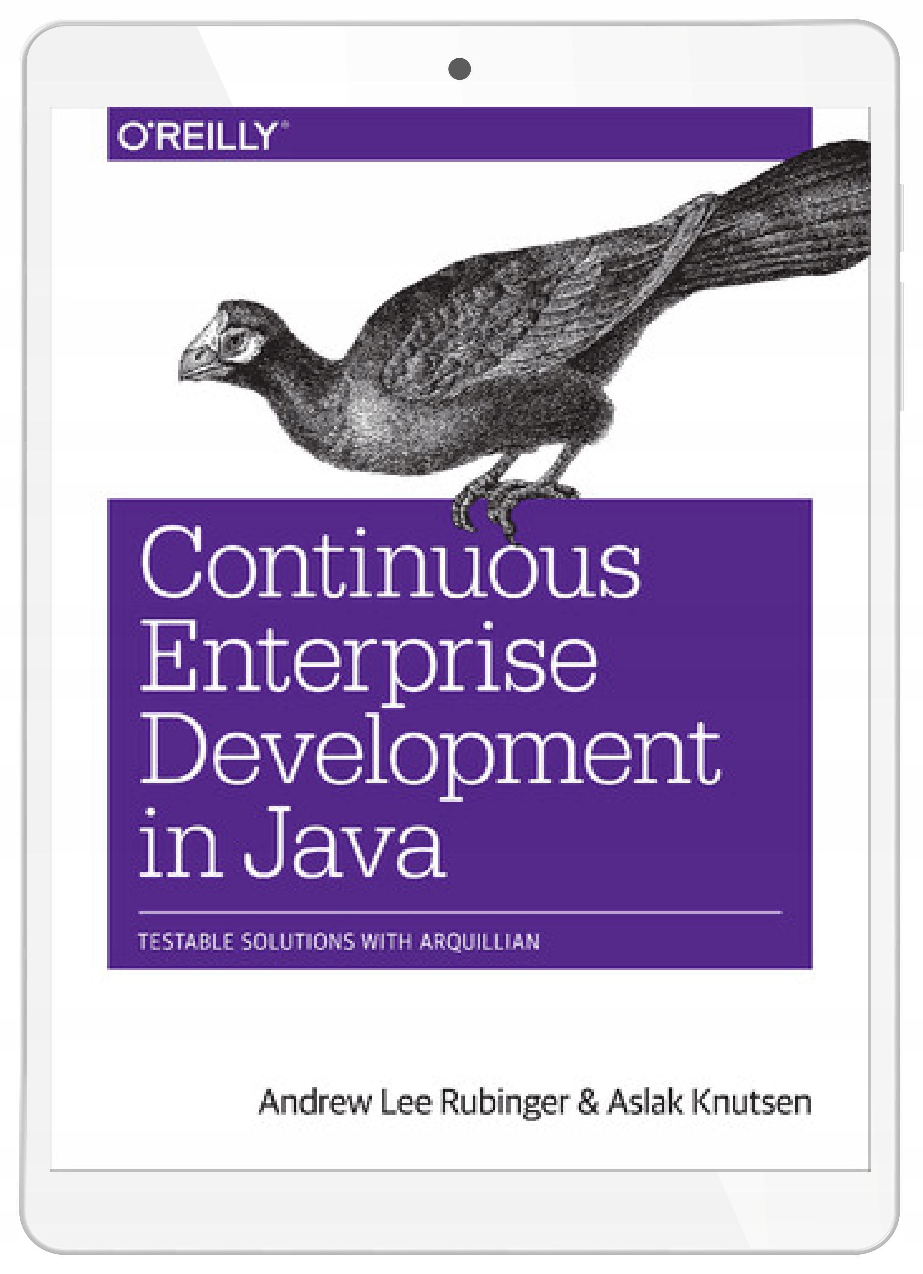 Continuous Enterprise Development in Java