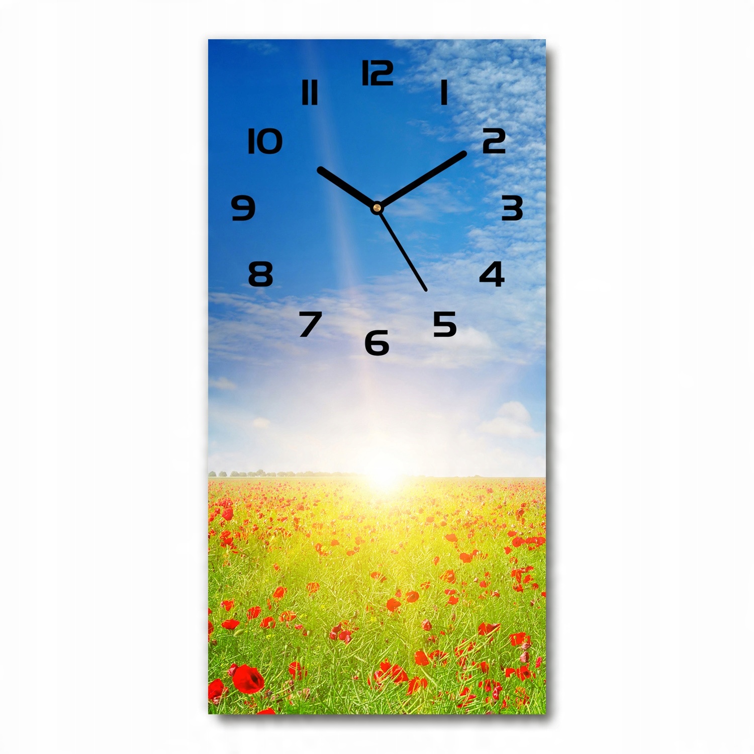 

Nowoczesny zegar ścienny Pole maków 30x60 pionowy