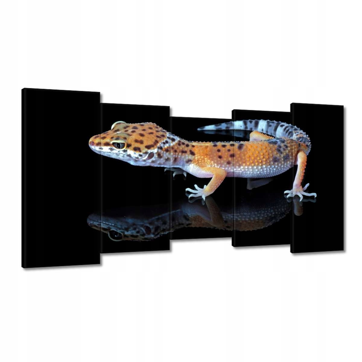 Obrazy 150x80 Gekon leopardí plazi