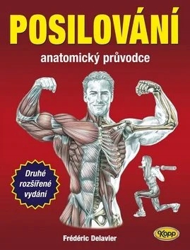Wzmacnianie: przewodnik anatomiczny
