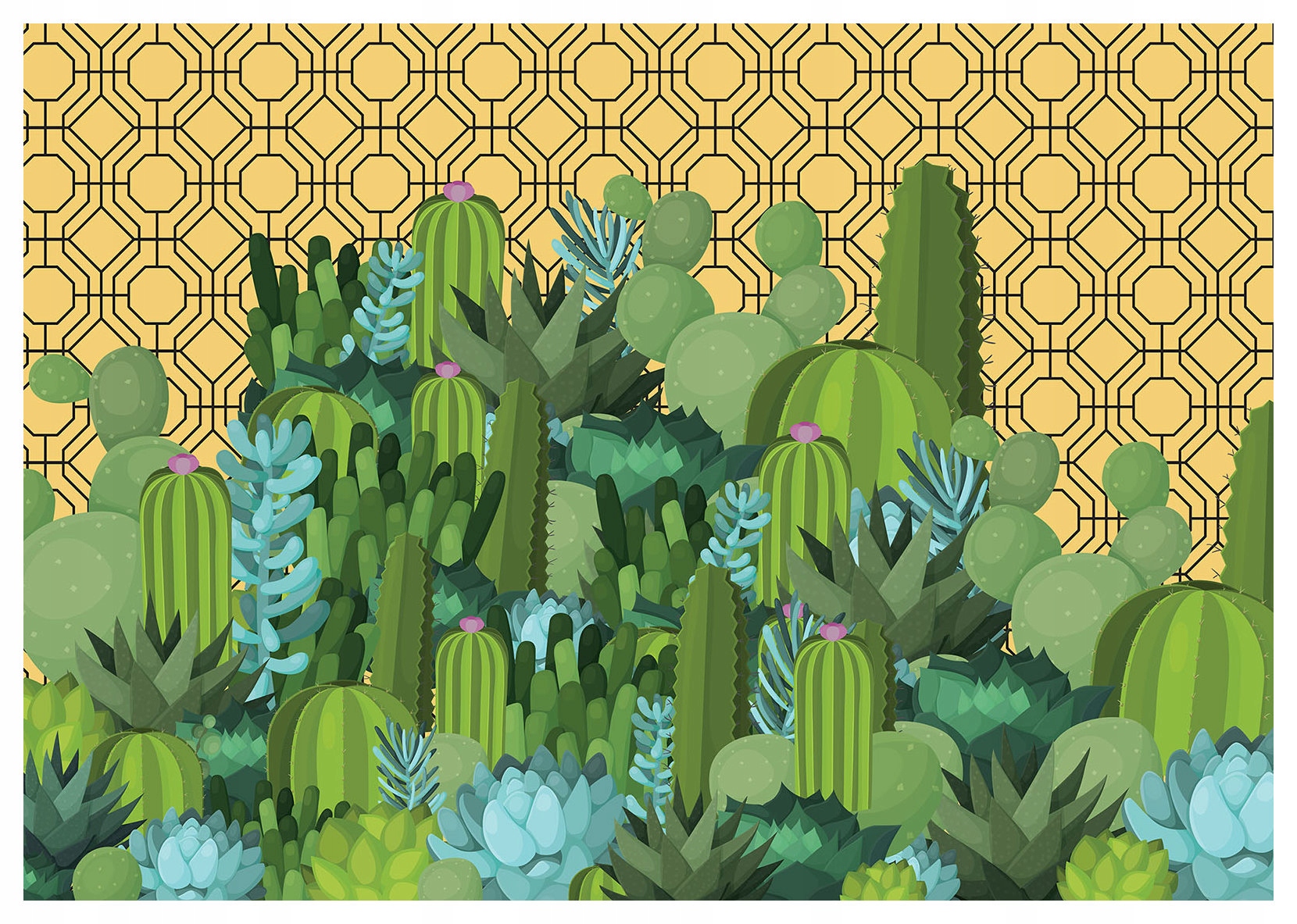 Fototapeta Kaktusy a Sukulenty geometria harmónia farieb 416x254 lepidlo