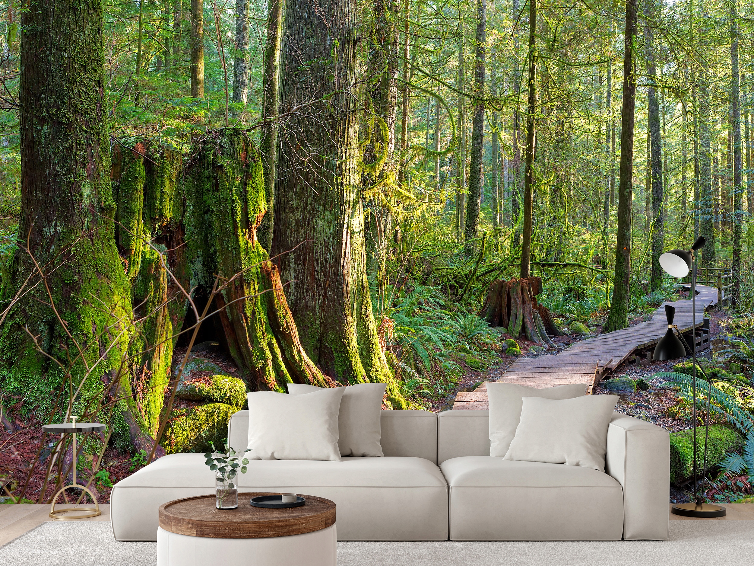 Fototapeta Cesta V Lete V Parku Lynn Canyon 368 x 254 cm