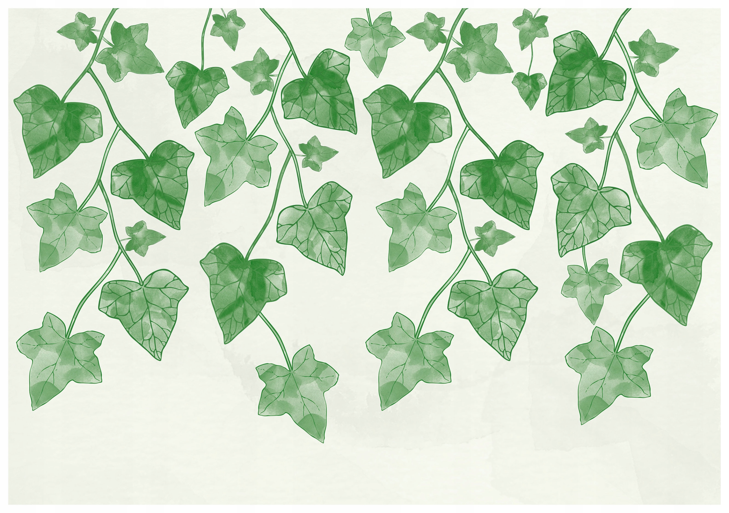 Vliesová fototapeta Břečťan světlé pozadí jemné listy 416x290 lepidlo