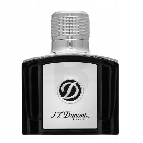 S.t. Dupont Be Exceptional toaletní voda pro muže 50 ml