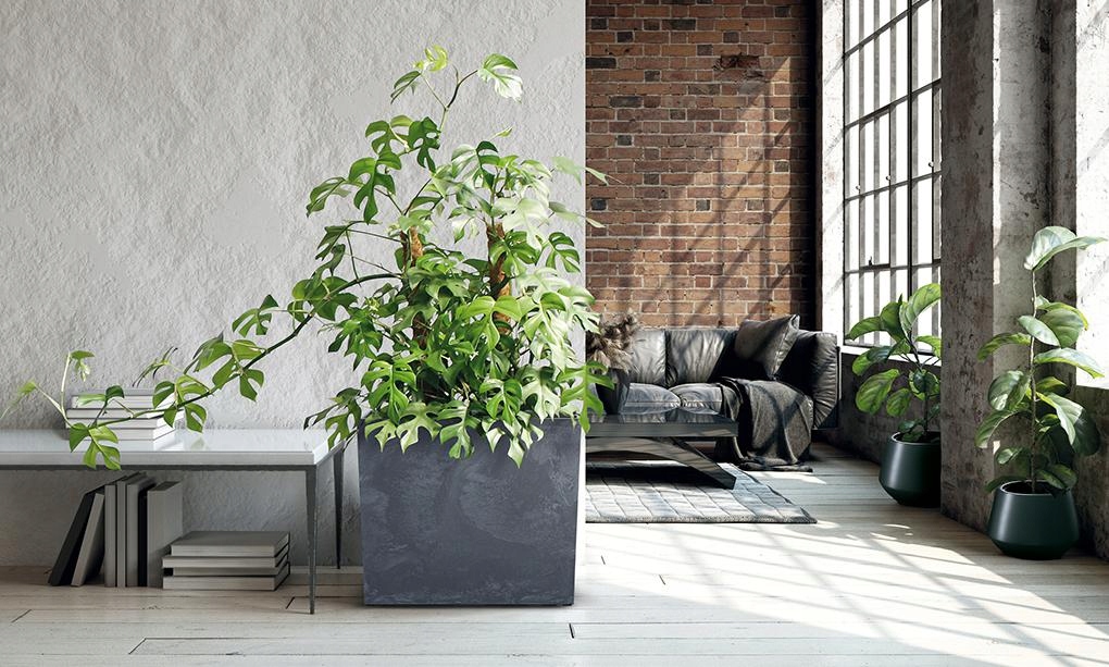 DONICA DONICZKA SKRZYNKA DUŻA KWADRATOWA WYSOKA Marka Prosperplast