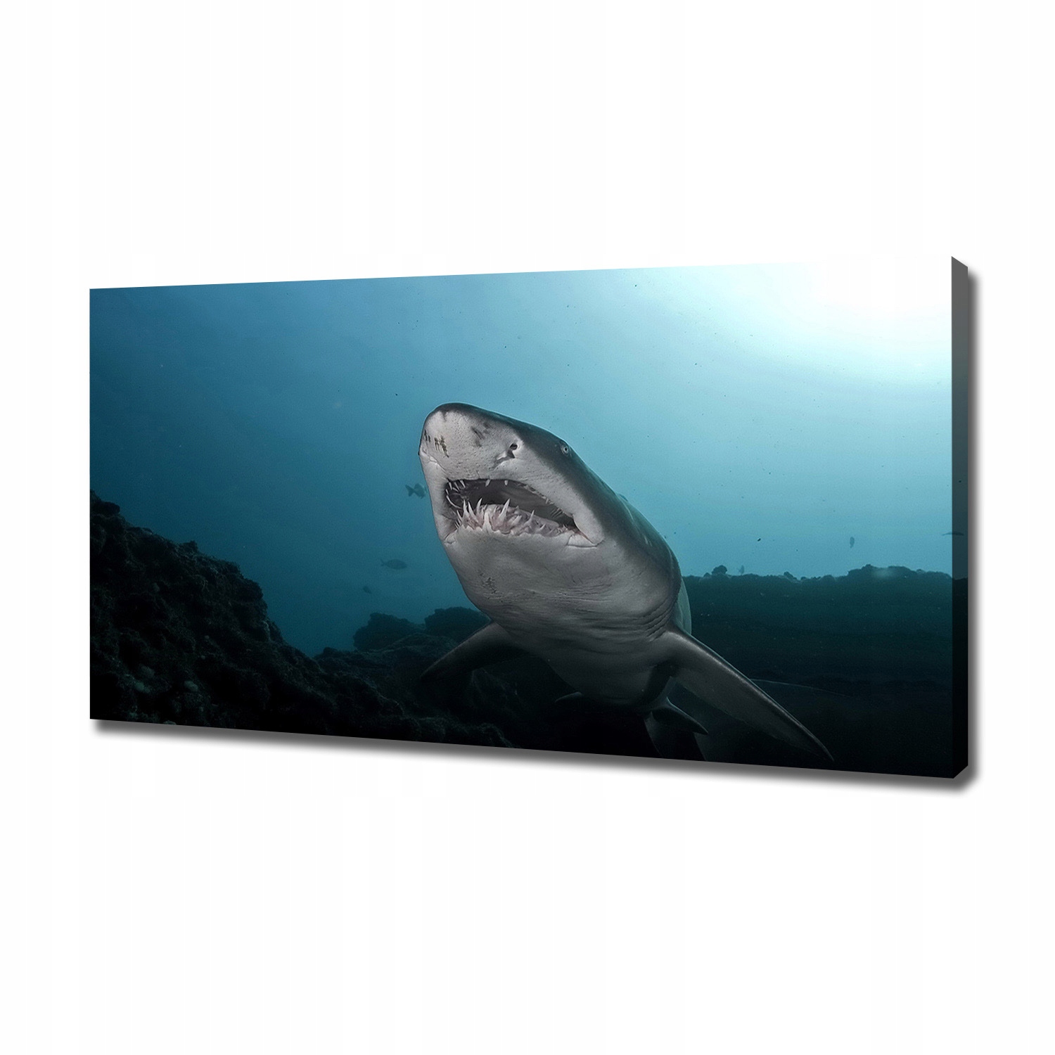 

Foto obraz canvas na ścianę Duży rekin 120x60 cm