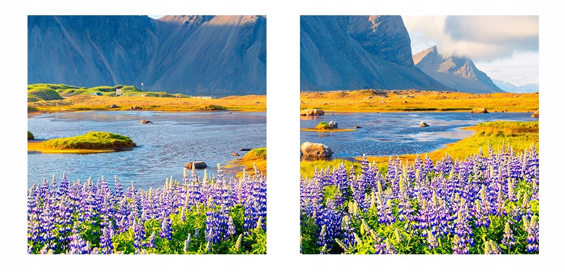 3D okno Nálepka na stenu Kvety vlčieho bôbu 90x60 Farba viacfarebná