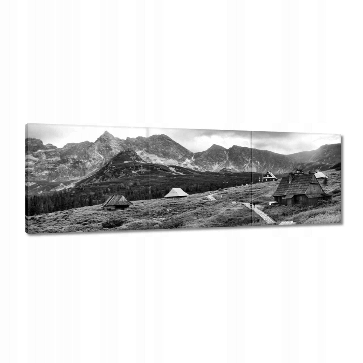 Obrazy 120x40 Tatry Polské hory Pohled