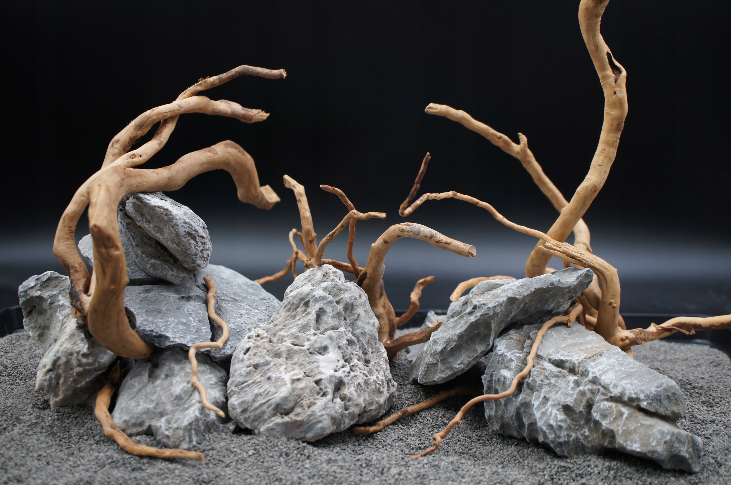 Levně Kořeny červeného mooru kameny scenérie stone Set Z Fotografie (A4)