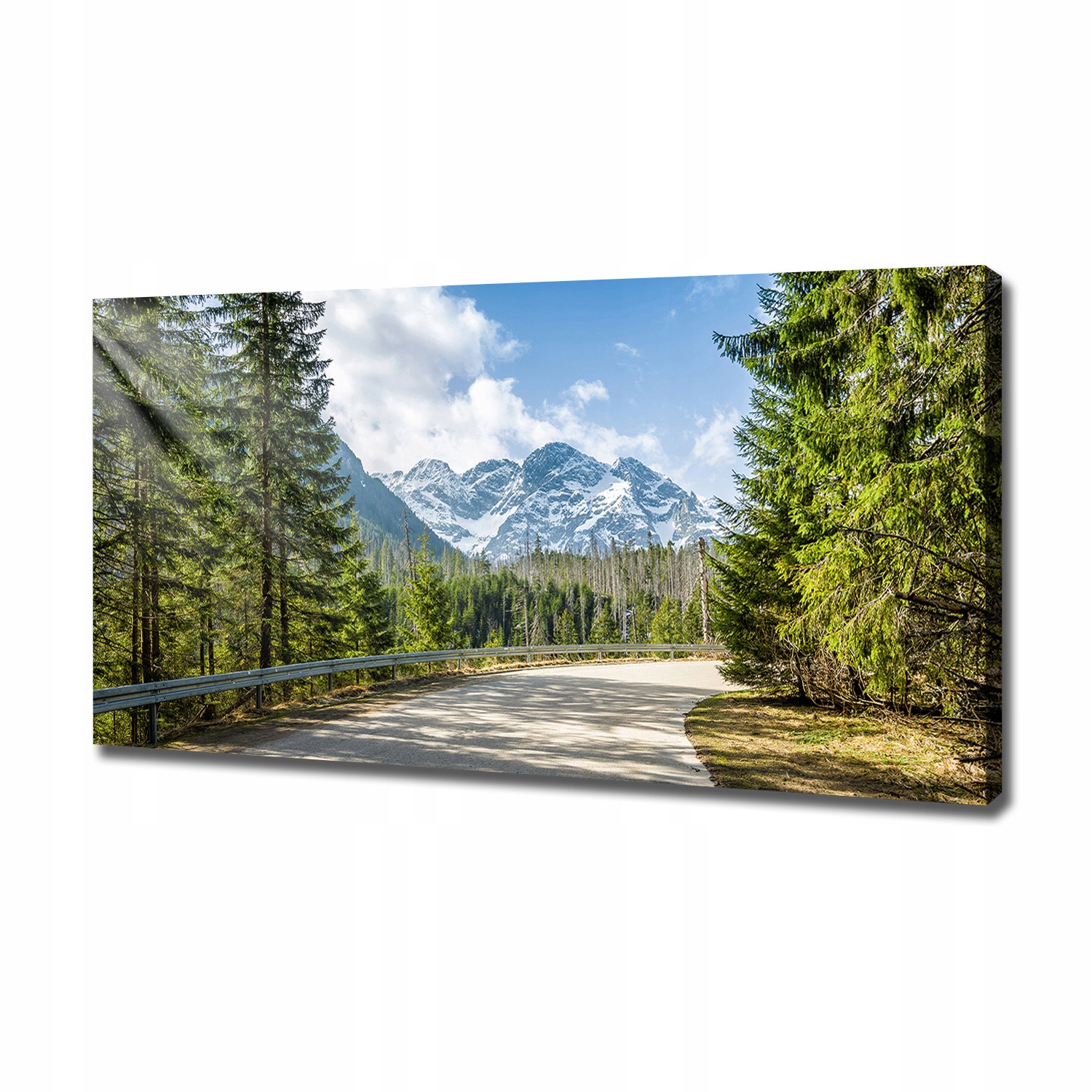

Foto obraz canvas na ścianę Droga Tatry 120x60 cm