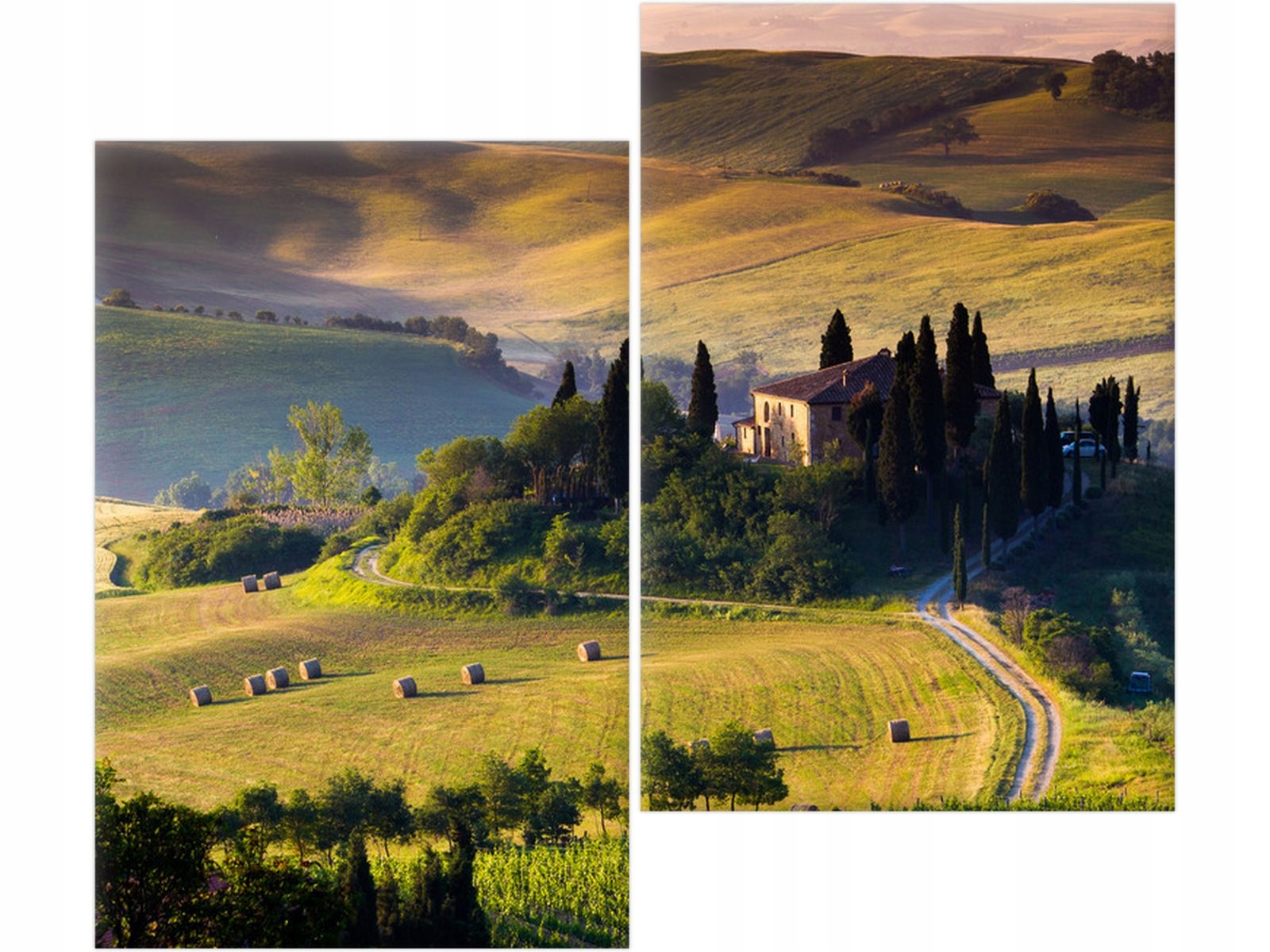 

Obraz drukowany Gospodarstwo w Toskanii modny