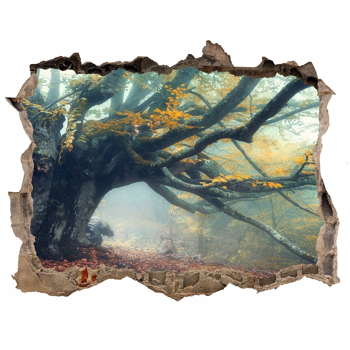 

Fototapeta Naklejka na ścianę Stare drzewo 120x81