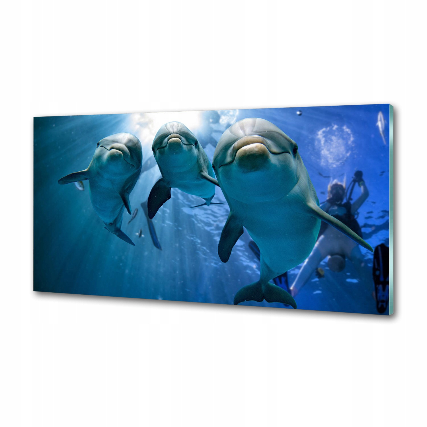 Dekoračný panel zo skla Tri delfíny 120 x 60 cm Lepidlo